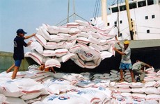 Les prix à l'exportation du riz au plus haut depuis 15 ans