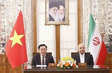 Vietnam-Iran: Conférence de presse conjointe des présidents des organes législatifs