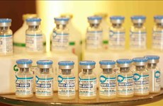 Un vaccin vietnamien contre la peste porcine africaine très prometteur aux Philippines
