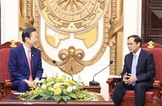 Le ministre des AE Bui Thanh Son reçoit le président du Parti japonais Komeito