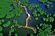 La forêt de mangrove de Can Gio est proposée pour devenir un site Ramsar 