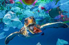 Vietnam-Japon : coopération dans la gestion des déchets marins