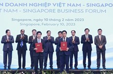 Le Vietnam et Singapour travaillent ensemble pour établir un agenda pour l'avenir