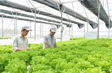 L’Australie financera l’innovation technologique dans le secteur agricole vietnamien