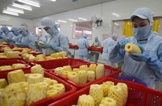 Exportations de fruits et légumes: le Vietnam établit un nouveau record