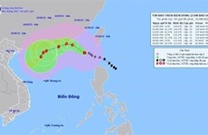 Le typhon Saola pénètre en Mer Orientale