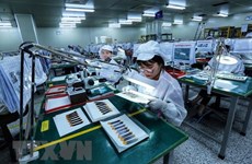 Bellecapitale salue l’environnement d’investissement du Vietnam 