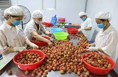 La promotion des exportations de fruits vietnamiens au menu d’un séminaire à Ho Chi Minh-Ville