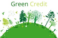 Le solde du crédit vert représente environ 4,2% de l’économie