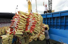 Le Vietnam exporte un volume record de riz en 8 mois