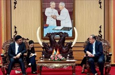 An Giang promeut la coopération économique, commerciale et les échanges culturels avec l'Inde