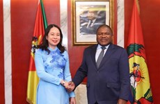 Une nouvelle étape dans les relations Vietnam - Mozambique et Vietnam - Afrique du Sud