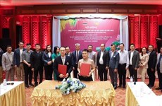 Les entreprises vietnamiennes et thaïlandaises renforcent les relations commerciales 