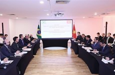 Le PM Pham Minh Chinh exhorte à booster le commerce Vietnam-Brésil