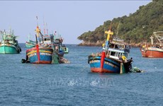 Tra Vinh redouble d’efforts pour lutter contre la pêche INN