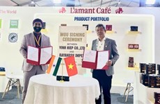 L’amant Café coopère sur la distribution de ses produits en Inde