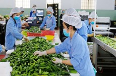 Le Vietnam doit promouvoir la transformation verte pour des exportations durables