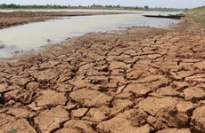 La Thaïlande élabore un plan de réponse au phénomène El Niño