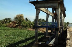 L'intrusion d'eau salée est prévue tôt dans le delta du Mékong