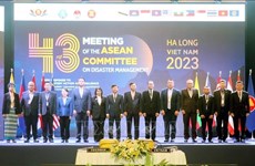 Le Comité de l’ASEAN sur la gestion des catastrophes se réunit à Quang Ninh