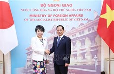 Continuer à approfondir le partenariat stratégique approfondi Vietnam-Japon