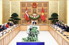 Le Vietnam et le Danemark annoncent l’établissement d'un partenariat stratégique vert