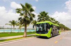 Développement des véhicules électriques pour promouvoir les énergies vertes