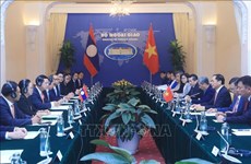 La 10e Consultation au niveau ministériel des Affaires étrangères Vietnam-Laos