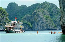 Pour faire de la baie d'Ha Long une destination verdoyante, propre et magnifique