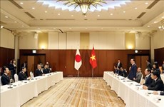 Le président vietnamien reçoit des dirigeants des préfectures japonaises