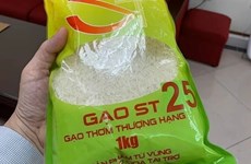 Le riz ST25 du Vietnam - Meilleur riz au monde pour la deuxième fois
