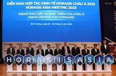Binh Duong accueille la réunion Horasis Asia 2023