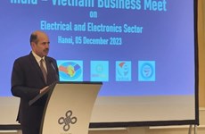 L’électricité et l’électronique créent des opportunités de coopération vietnamo-indienne
