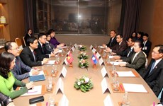 Vietnam-Laos : renforcement de la coopération entre des Commissions des Assemblées nationales 