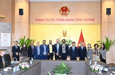 Les EAU veulent coopérer avec le Vietnam pour développer le réseau électrique intelligent