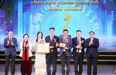 Les Prix Talents du Vietnam allument le feu du Dragon et de la Fée