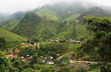 Opportunités et défis du Vietnam dans la vente des crédits de carbone forestier