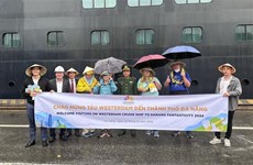 Plus de 2 000 croisiéristes débarquent à Da Nang le 2 janvier