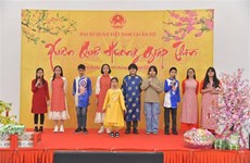 Les Vietnamiens à l’étranger se joignent aux célébrations du Tet