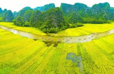 Le Vietnam en route pour verdir son tourisme