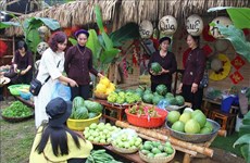 Thanh Hoa et Quang Nam accueillent de nombreux visiteurs pendant le Têt