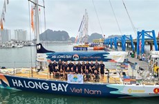 Quang Ninh: l’équipe vietnamienne termine 5e à la course Clipper Round the World Yacht Race