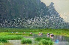 Ninh Binh promeut le développement du tourisme durable 