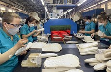 Perspectives de reprise du secteur vietnamien de la chaussure