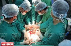 Des réalisations historiques de la transplantation d'organes au Vietnam