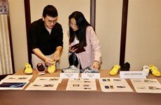 Vietnam et Japon coopèrent dans la protection de la propriété intellectuelle et la prévention des produits contrefaits