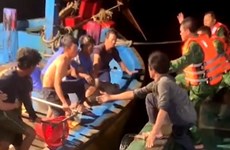 Les autorités de Ba Ria - Vung Tau remettent 11 marins étrangers sauvés aux consulats généraux