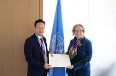 Le Vietnam veut continuer à promouvoir la coopération avec l'ONU