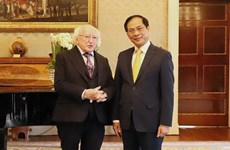 Le Vietnam souhaite toujours renforcer ses relations avec l'Irlande
