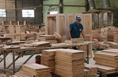 Le DOC prolonge les délais de publication des conclusions concernant les armoires en bois importées du Vietnam